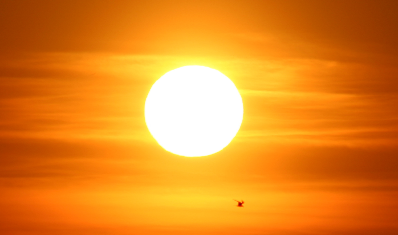 sun